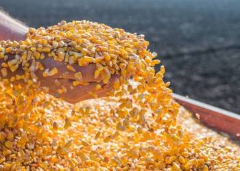 owies kukurydza big bag pellet opał kuku owsa zboże pasza ciepło kukuruku