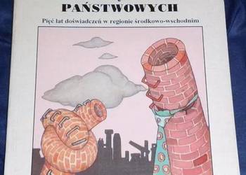 Prywatyzacja przedsiębiorstw państwowych - Maciej Bałtowski