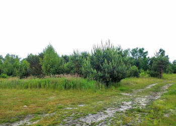 Działka budowlana NAROŻNA 1200 m2 Góra Kalwaria KRZAKI CZAPLINKOWSKIE ulic…