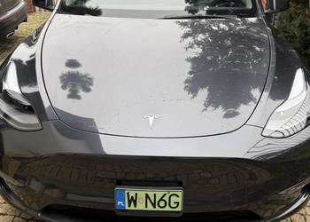 TESLA Y