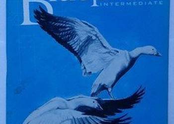 BLUEPRINT INTERMEDIATE - E.WALKER S.ELSWORTH