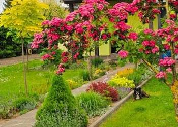 Działka rekreacyjna ROD Chełmno