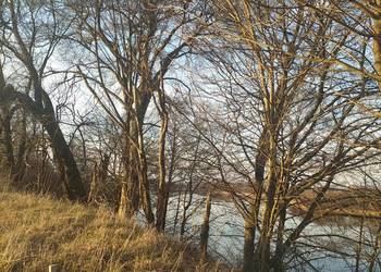 Działka nad jeziorem z linią brzegową i bezterminową WZtką