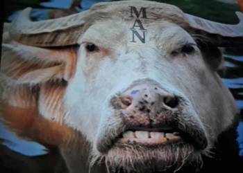 Z wykopalisk Prog Rocka MAN- 2 Ozs Of Plastic With a Hole in The Hole. 71r.