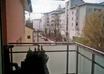 Siatka dla kota montaż BEZINWAZYJNY Warszawa Siatki Balkonowe Montaż
