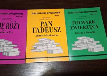 Książeczki z serii Biblioteczka opracowań
