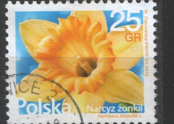 Zn. Fi 4829, 31, 9 kas 2018