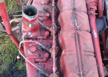 Silniki international d310