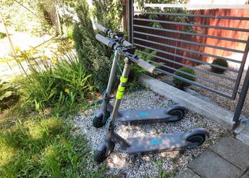 HULAJNOGA MOTUS SCOOTY 10