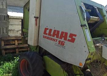 Sprzedam prase Claas variant