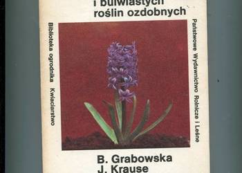 Uprawa cebulowych i bulwiastych roślin ozdobnych