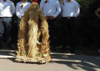 Wieniec dożynkowy