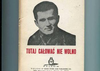 Tutaj całować nie wolno - Marek Nowakowski