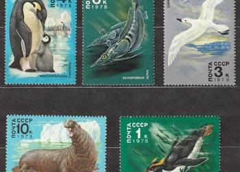 ROSJA ZSRR - FAUNA MORSKA - 1978 - CZYSTE ** ROSJA ZSRR - FAUNA MORSKA - 1978 - CZYSTE **
