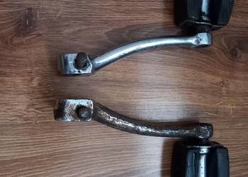 Korby komar sztywniak