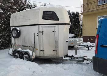 Przyczepa do przewozu koni