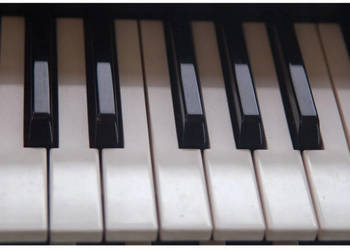 Roland E14 15 16 28 35 36 38 klawisze EM EXR VA3