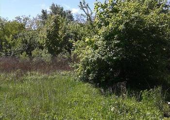 sprzedam działkę budowlaną 2457m2 Pruszków Żbików