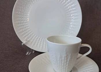 Filiżanka trio Hutschenreuther