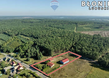 Dom parterowy, wysoka hala, garaże i pół hektara!