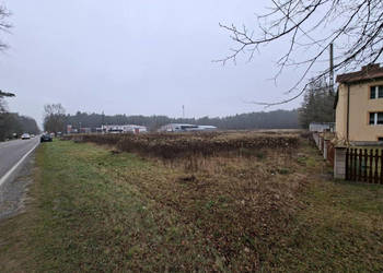 Oferta sprzedaży gruntu 2307m2 Głusko Duże-Kolonia