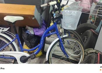 syndyk sprzeda rower typu damka Andar Bike Ivona o rozmiarze kół 24"