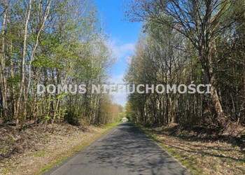 Oferta sprzedaży gruntu Teklin 6800m2