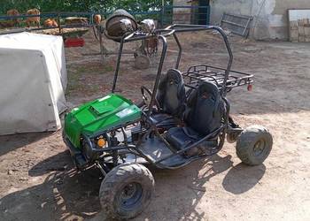 buggy 125 zamienie