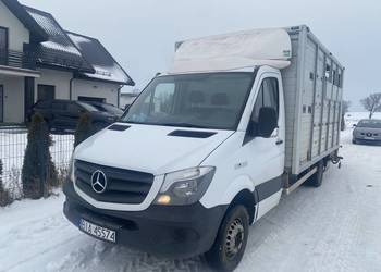 Mercedes sprinter do przewozu bydła z wagą