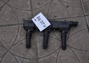 fabia cewka nr M2239 WYSYŁKA