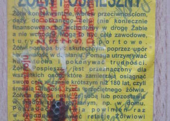 Żółwik przy forsie Żółwik przy forsie