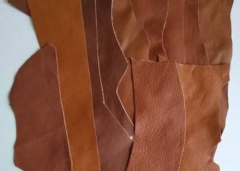 Skóra (434 g) Licowa Włoska w większości średnie i kilka małych kawałków Br