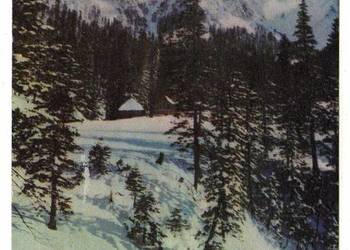 TATRY ZACHODNIE DOLINA KOŚCIELISKA WIDOK NA ORGANY