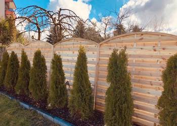 Płot Drewniany Super Mocny Płot Ryflowany Pełny z Łukiem