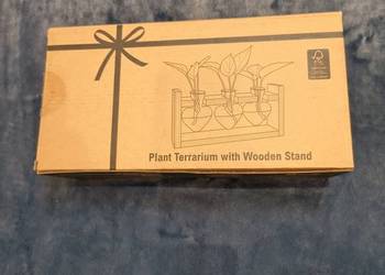 Terrarium szklane z drewnianą podstawą dekoracja roślinna