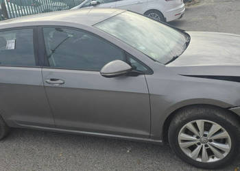 Volkswagen Golf 1.6 Tdi VII (2012-)