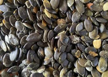 Dynia Pestki dyni bezłupinowej świeże