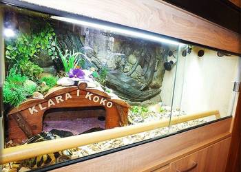 Duże Terrarium z szafką + Żółw Grecki i Stepowy z dokumentami + wyposażenie