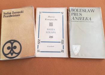 Anielka Prus.Nasza szkapa - Konopnicka, Przedwiośnie.