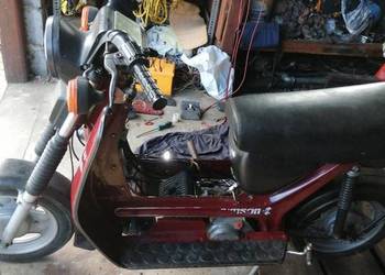 Simsonek sr50 oryginał