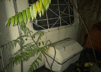 Przyczepa kamping N126