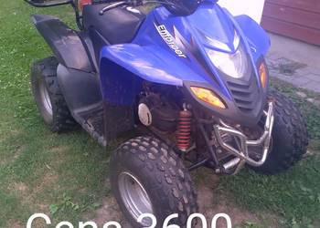 Quad  sym enforcer 50 2 T