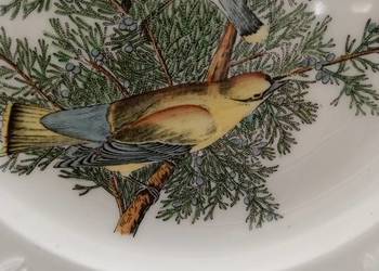 Talerz obiadowy birds od America ilustra. AUDUBONA