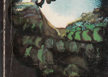 (01949) WALKOWA PANI – AGNIESZKA BARŁÓG