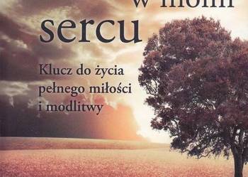 OGIEŃ W MOIM SERCU - SHIELDS ANN