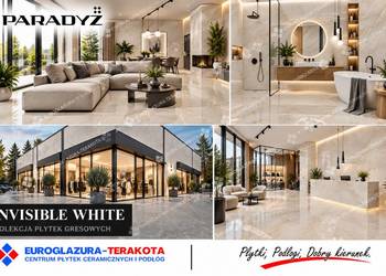 gres 59,8/119,8 invisible white błyszczący paradyż
