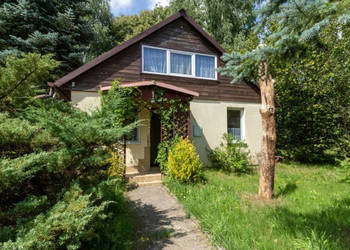 Lokal sprzedam Borysówka