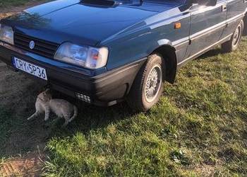 Polonez caro