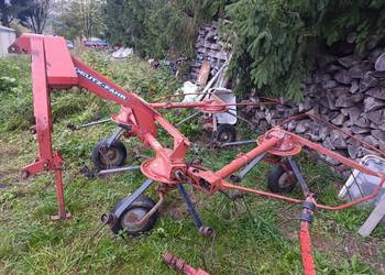 Pająk, Grabarka przetrząsarka