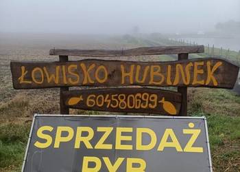 Sprzedaż Ryb Łowisko wędkarskie Hubinek